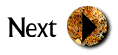 Next