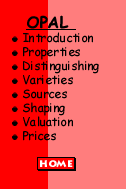opal menu