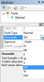 Attributes entry window