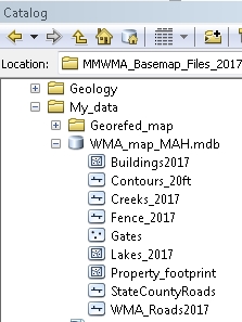 ArcCatalog after import of 9 shapefiles in geodatabase