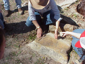 smallliesegangboxwork.jpg (64465 bytes)