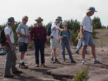 Hickory bedding plane