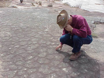 McBride ponders mudcracks
