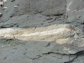 calcite concretion in Lion Mt. ss