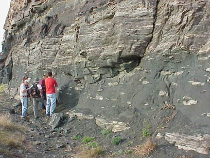Lion Mt. ss, showing calcite conc. & cross bedding