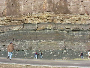 Riley (Lion Mt.) and Wilburns (Morgan Cr. & above) Fms.