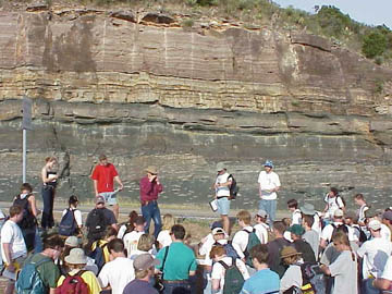 Backbone Ridge at Hwy cut