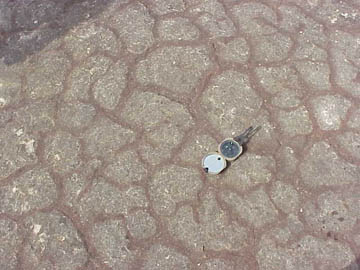 mudcracks in Hickory ss