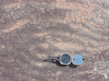 Ripples in Hickory ss 