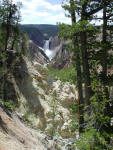 Grand Canyon of the Yellowstone from Artist's Point.  Laura Net photo.