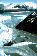 Photo of Glaciers and Icebergs
