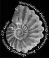 Non-vertebrate Paleontology Lab