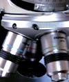 Petrographic Imaging Facilities