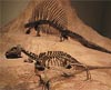 Vertebrate Paleontology Laboratory