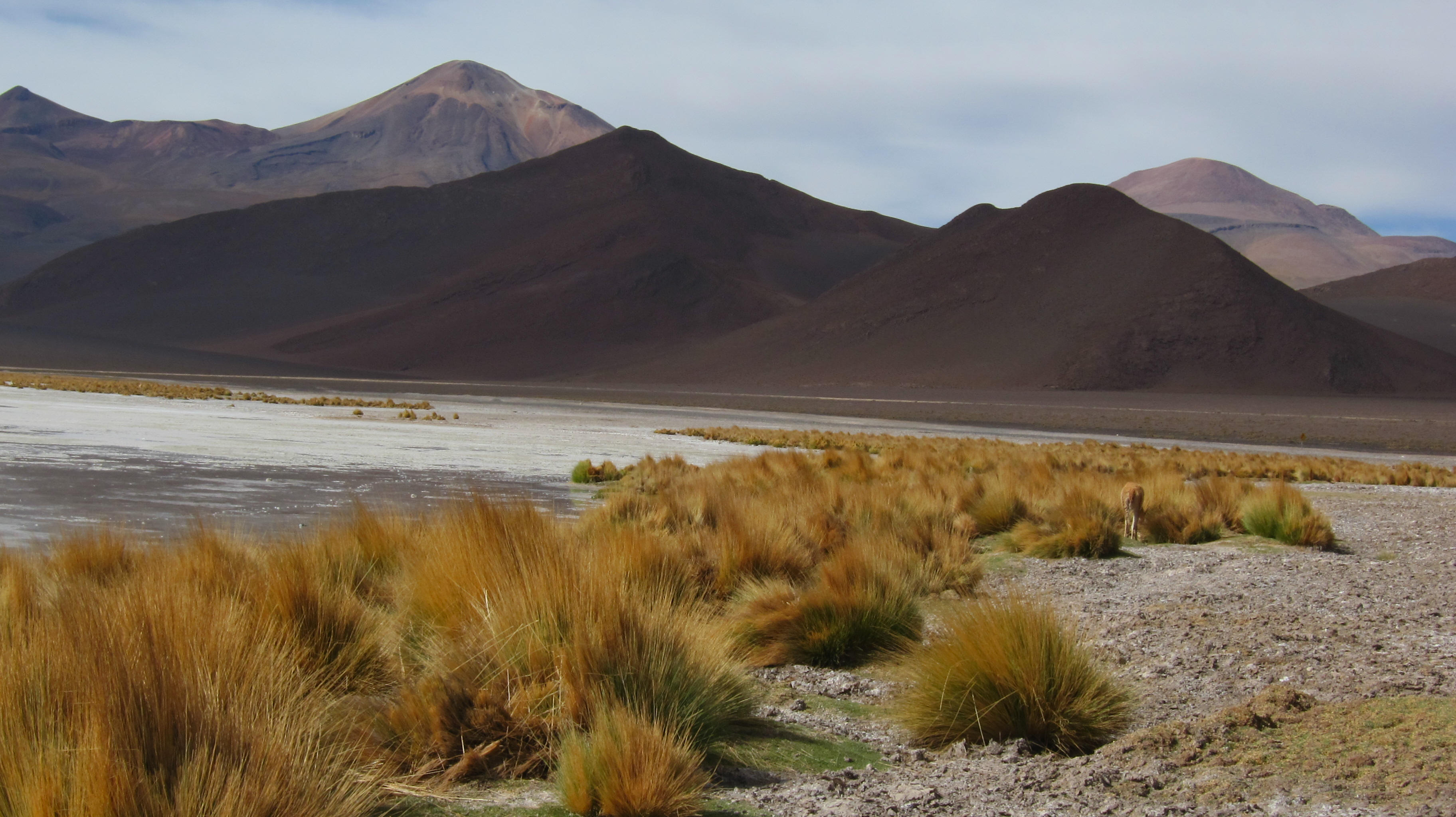 Northern Atacama - Orogenic Scene
